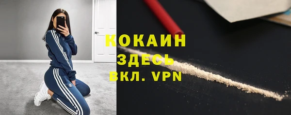 PSILOCYBIN Аркадак