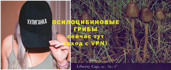марки nbome Арсеньев
