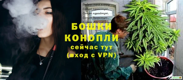 PSILOCYBIN Аркадак